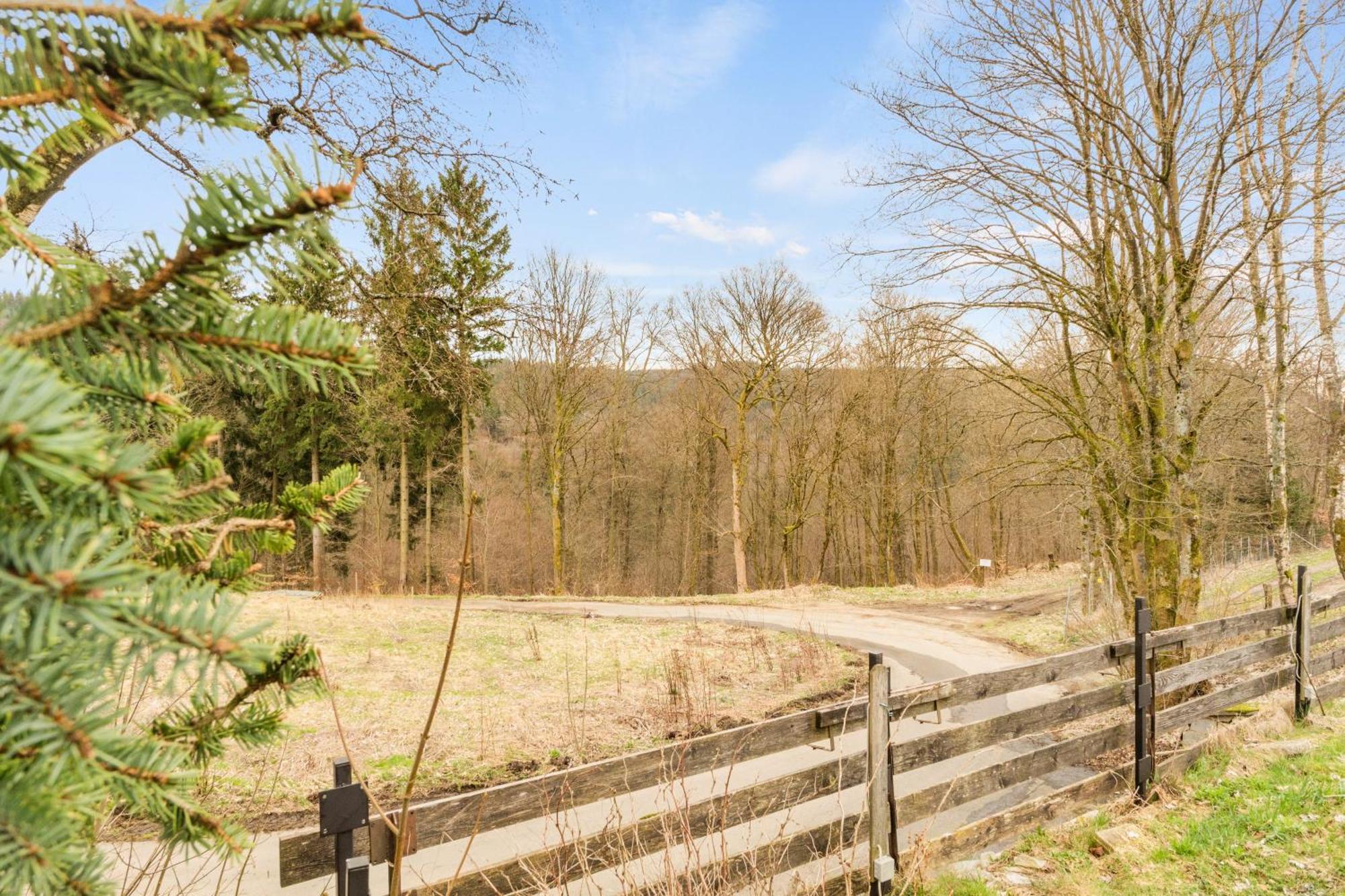 Greenhouse Living Apartment Fagus Mit Terrasse Und Feuerstelle - 6 Minuten Nach Winterberg - 4 Minuten Zur Ruhrquelle - Wandern - Mountainbike Fahren - Reisen Mit Hund & Natur Geniessen Medebach Exterior photo